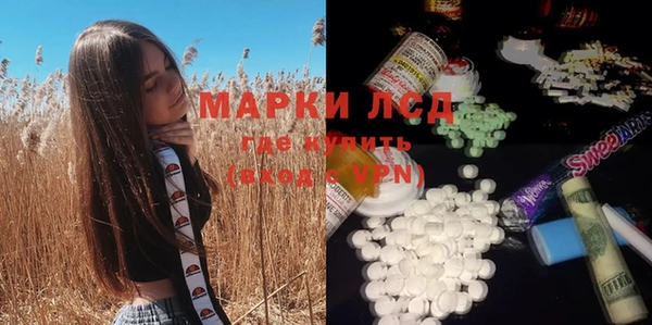 крисы Арсеньев