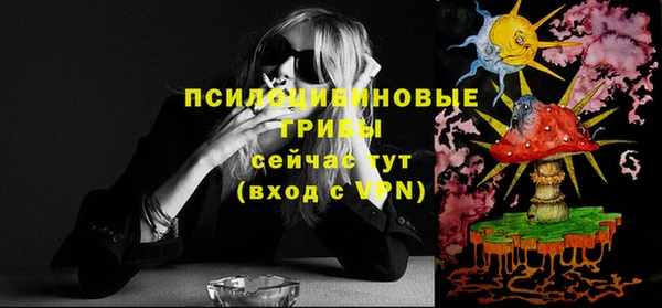 крисы Арсеньев