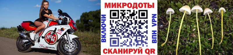 Галлюциногенные грибы прущие грибы  Купить где  Солигалич 